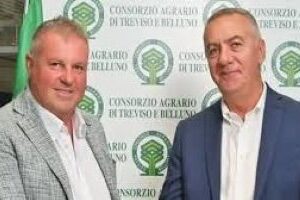 Castelfranco Veneto: viaggio nella storia castellana!!!!