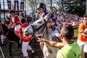 Treviso: Via all’orario invernale, MOM mette in campo 3mila corse al giorno!!!