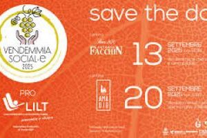 Castelfranco Veneto: viaggio nella storia castellana!!!!