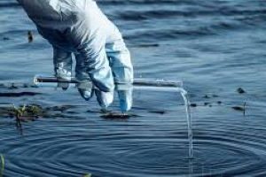 Conegliano: La città si ammanta d’autunno!!!