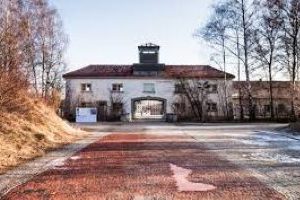 Zero Branco: Il radicchio racconta il territorio!!!