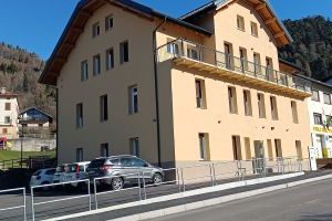 Zero Branco: Germogli di primavera, cresce nei campi il re dei sapori!!!!